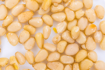 nuts of a Siberian cedar