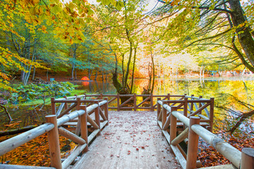 Obraz premium Autumn landscape in (seven lakes) Yedigoller Park Bolu, Turkey