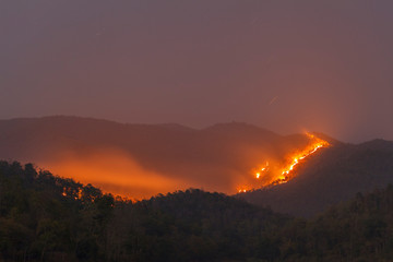 Bush forest wild fire at night © Nattawat