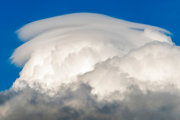 The unique cloud-like saucer on top of Cumulus clouds