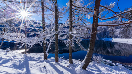 Fototapeta premium 樹氷に射し込む朝日