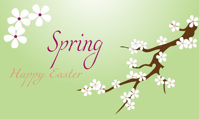 Simple spring poster with sakura branch on a green background. Vector banner for congratulations. Vector illustration.