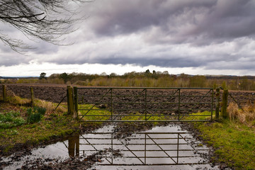 Metal farm gate leading to muddly ploughed field with gate reflected in large puddle. Fife, Scotland, UK. Dramatic clouds.