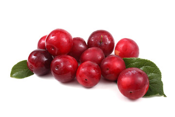 Red plums and leaves