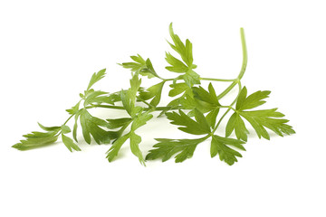 Parsley