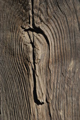 Fototapeta premium wood texture background