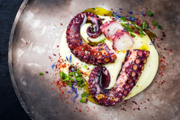 Traditioneller italienischer Oktopus Polpo alla Griglia su Crema di Patate mit Kartoffel Püree Creme und Chili als Draufsicht auf einem Modern Design Teller mit Textfreiraum © HLPhoto