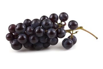 Black wine grape