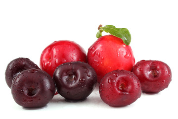 Cherries and plums