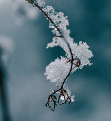 Ice in winter