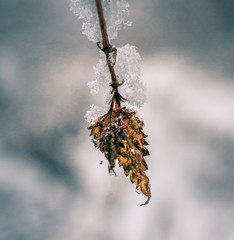 Ice in winter