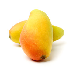 Mango on a white background