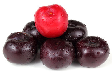 Violet and red plums