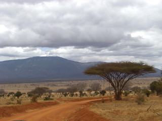 Africas wildlive and landscapes