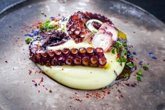 Traditional Italian polpo alla griglia su crema di patate with barbecued octopus, potato creme and chili as closeup on a modern design plate