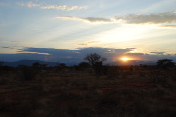 Africas wildlive and landscapes