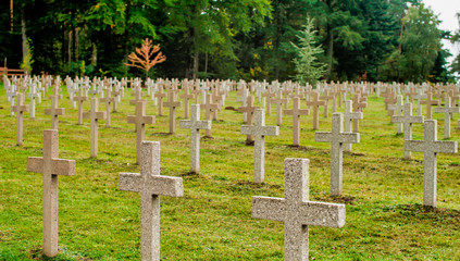 Naklejka premium Cimetière militaire de la Grande Guerre à Orbey, France