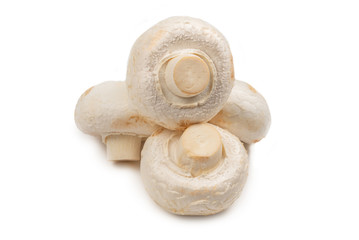 Champignon mushroom isolated on white background.