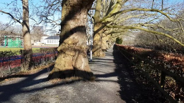 balade sur un petit chemin entre les arbres - Zurich