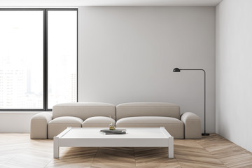 White living room interior with sofa