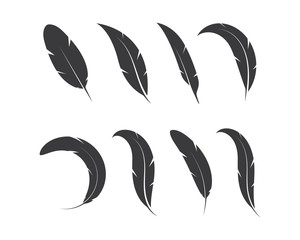 feather icon illustration vector template - obrazy, fototapety, plakaty
