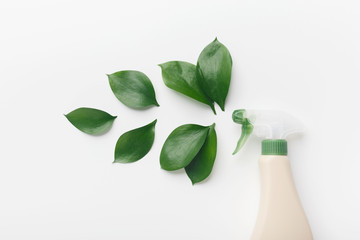 Eco spray bottle for safety cleaning, green leaves