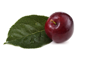 Red plum and leaf