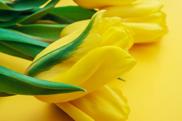 Obraz premium Yellow tulips flowers on a yellow background. Waiting for spring. Happy Easter card. Flat lay, top view. Copy space for text
