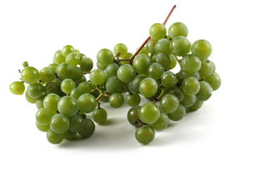 Clusters of white wine grape