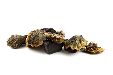 Oysters
