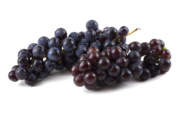 Two black grape clusters