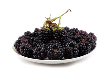 Blackberries on dish