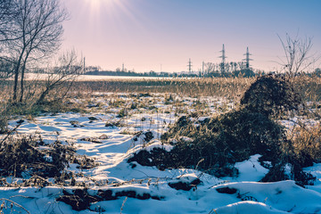 Obraz premium Nature beauty