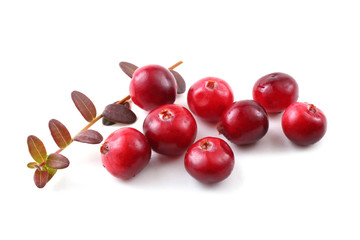 Cranberries and leaves