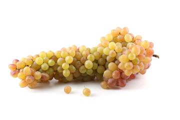 Cluster of grape