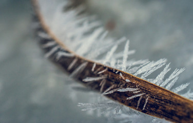 Ice in winter