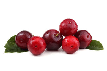 Plums and leaves