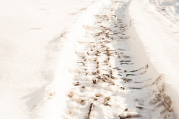Tire tracks on a road covered by snow. Cold winter day.