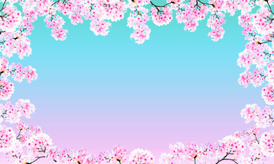  Banā ni tsukai yasui sakura no furēmu 15/5000 Cherry blossom frame easy to use for banner