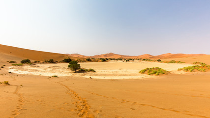 Fototapeta na wymiar View of the Sossusvlei salar in the Namib Desert from the crest of one of the highest dunes.