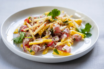 Tuna ceviche with coconut milk, mango, chilli and lime juice