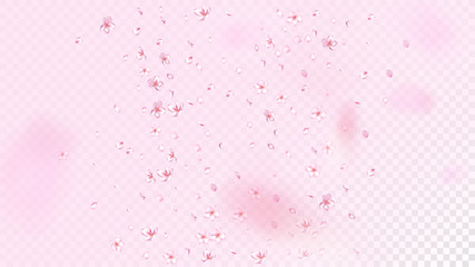 Nice Sakura Blossom Isolated Vector. Summer Flying 3d Petals Wedding Design. Japanese Oriental Flowers Illustration. Valentine, Mother's Day Pastel Nice Sakura Blossom Isolated on Rose