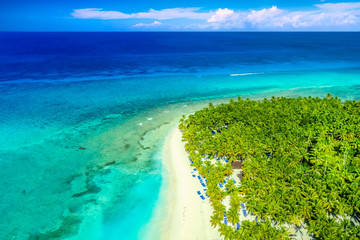 Obraz premium Aerial drone view of beautiful caribbean tropical island beach with palms. Saona, Dominican Republic. Vacation background.