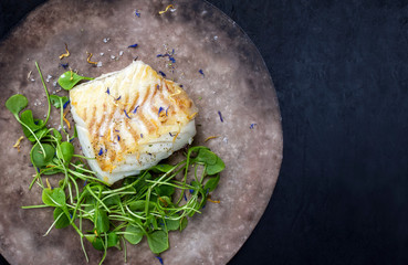 Gourmet fried European skrei cod fish filet with purslane lettuce and herbs as top view on a modern...