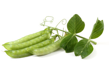 Pea pods