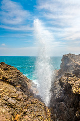 View at Blowhole fountain near Kudawella village in Sri Lanka