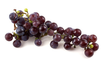 Black wine grape