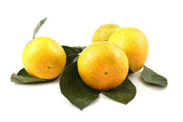 Mandarin oranges and leaves