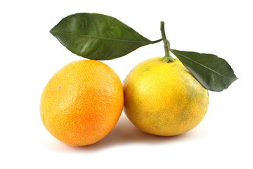 Mandarin oranges and leaves