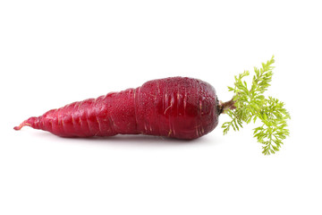 Red carrot with leaf